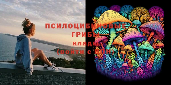 гидропоника Беломорск