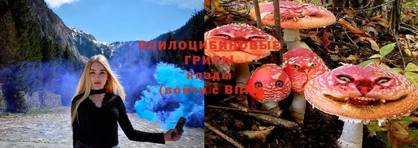 гидропоника Беломорск