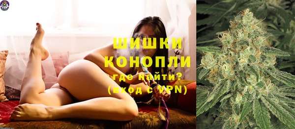 молекула духа Белоозёрский