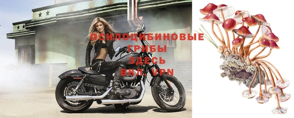 молекула духа Белоозёрский